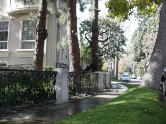 Enlarge photo 46