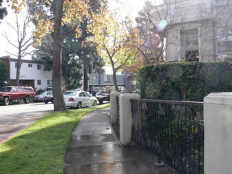 Enlarge photo 51