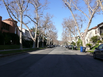 Enlarge photo 17