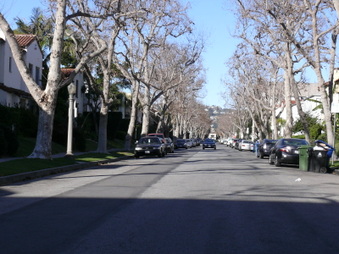 Enlarge photo 18