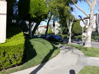 Enlarge photo 33