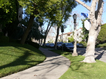 Enlarge photo 35
