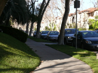 Enlarge photo 36