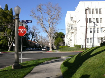 Enlarge photo 45