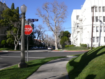 Enlarge photo 46
