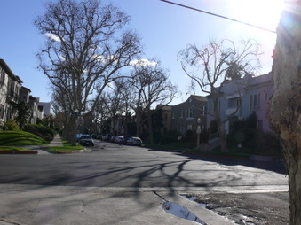 Enlarge photo 54