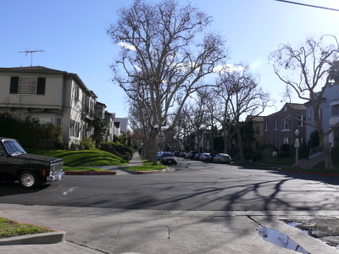 Enlarge photo 55