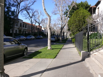 Enlarge photo 57