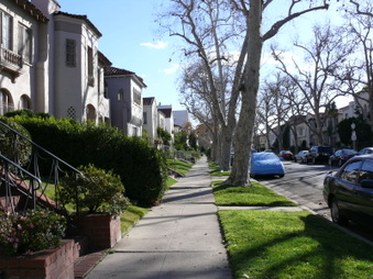 Enlarge photo 59