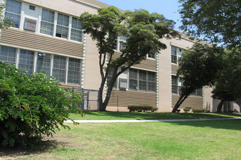 Hollywood HS-Limited availability