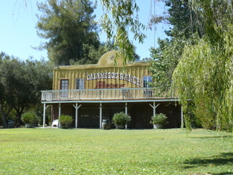 Enlarge photo 22