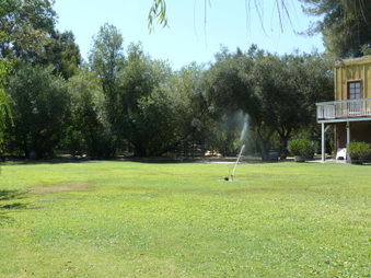 Enlarge photo 23