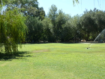 Enlarge photo 24