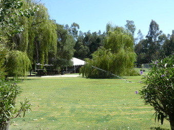 Enlarge photo 28