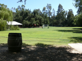 Enlarge photo 30