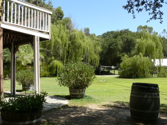 Enlarge photo 31