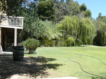 Enlarge photo 32