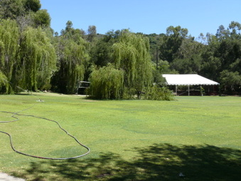 Enlarge photo 33