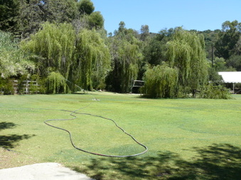 Enlarge photo 34
