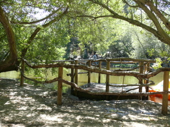 Enlarge photo 36