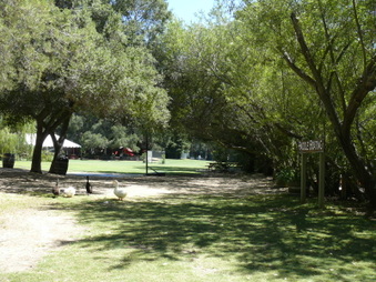 Enlarge photo 38