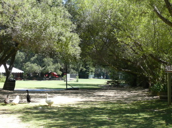 Enlarge photo 39