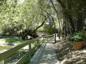 Enlarge photo 40
