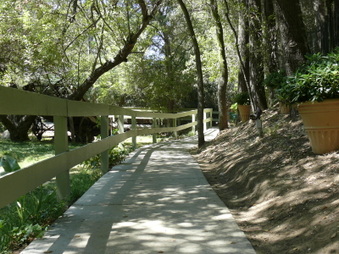 Enlarge photo 41
