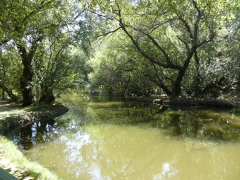 Enlarge photo 44