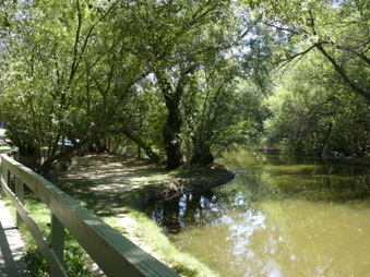 Enlarge photo 45