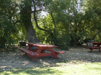 Enlarge photo 49