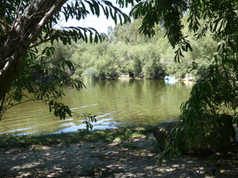 Enlarge photo 52