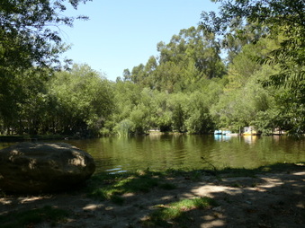 Enlarge photo 53