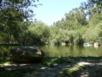 Enlarge photo 54