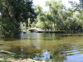 Enlarge photo 55
