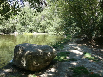 Enlarge photo 56