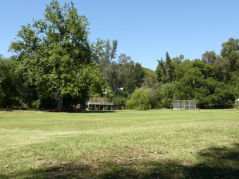 Enlarge photo 57