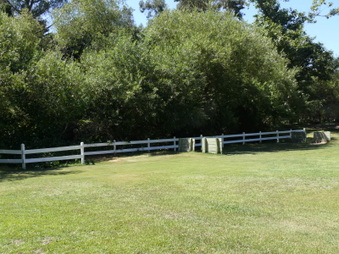 Enlarge photo 61