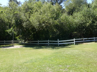 Enlarge photo 62