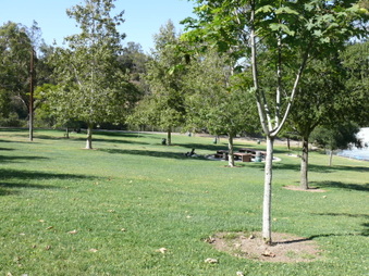 Enlarge photo 11