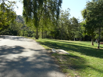 Enlarge photo 13