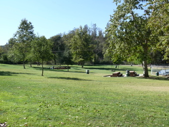Enlarge photo 14
