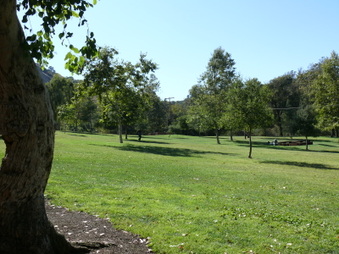Enlarge photo 15