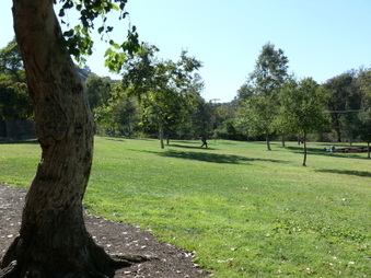 Enlarge photo 16