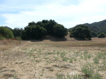 Double X Ranch