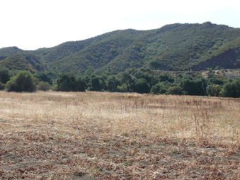 Enlarge photo 18