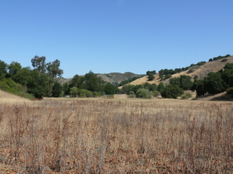 Enlarge photo 25