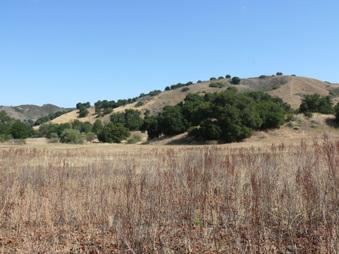 Enlarge photo 26