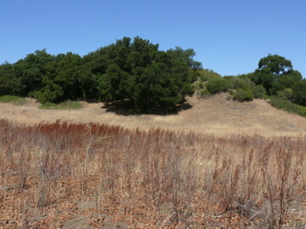 Enlarge photo 27