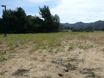 King Gillette Ranch Area #1